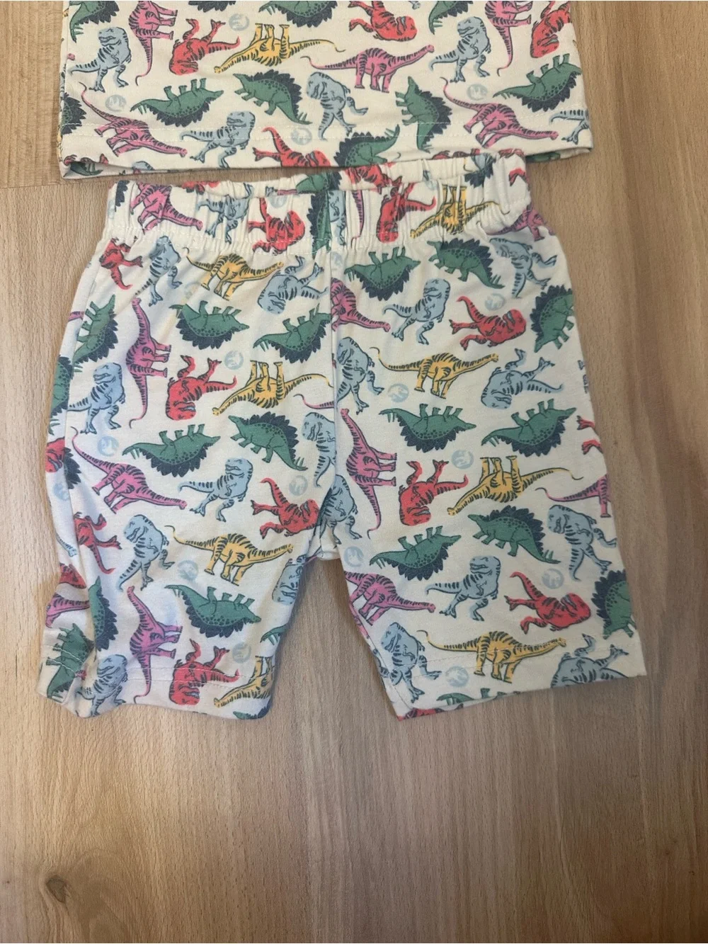 Copper Pearl Jurassic Park Kids Dinosaur Pajama Set - Multicolor Dino Print